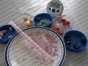 World record-breaking sorting jellybeans with a straw