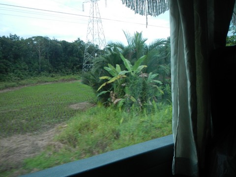 On the bus to Miri, heading away from trouble