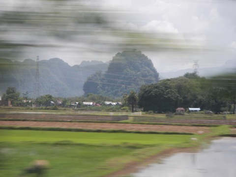 Rice paddies helped to make this some of the most stunning scenery in Indonesia - although I had to be mindful of poisoned arrows