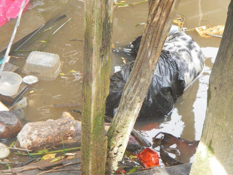 Unfortunately, if you look below the surface, Brunei suffers with that terrible disease of litter
