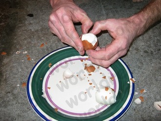 Shelling a boiled egg in a world record time