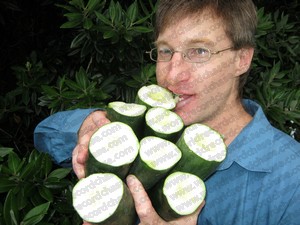 Snapping cucumbers for another world record